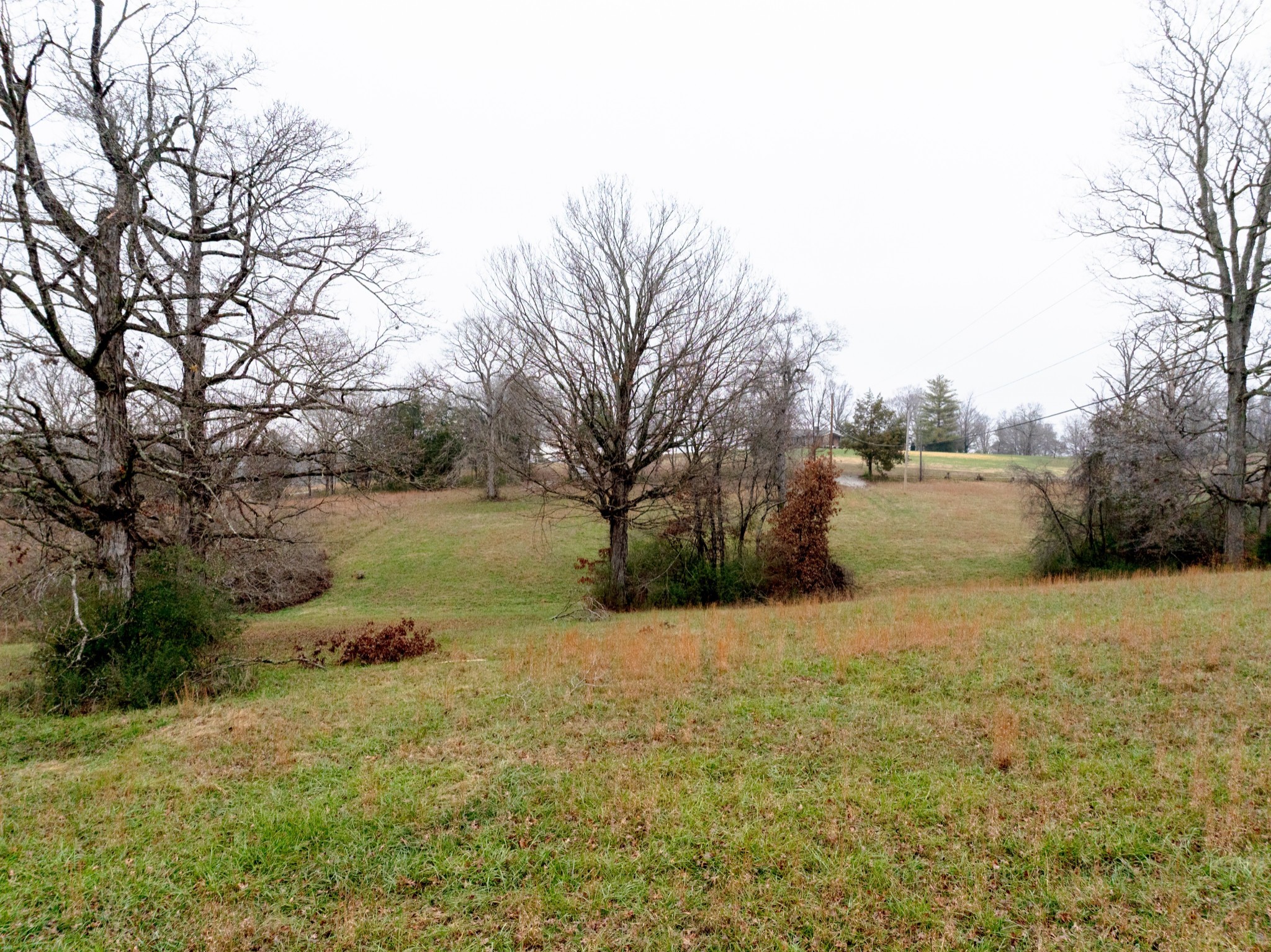 0 Ridgecrest Drive Dickson, TN 37055 - Photo 13 of 16 Gallery Image 13
