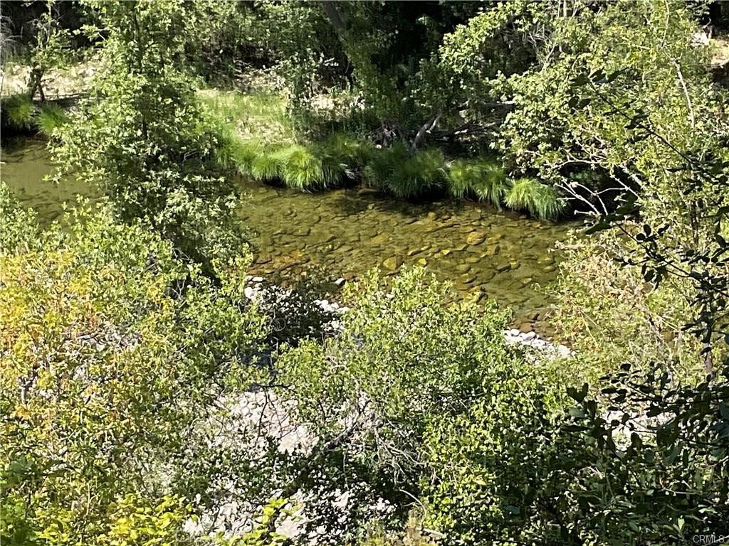 47199 Arroyo Seco Road Greenfield, CA 93927 - Photo 2 of 19 a view of a lush green forest