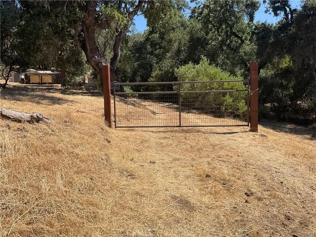 a view of a yard with trees
