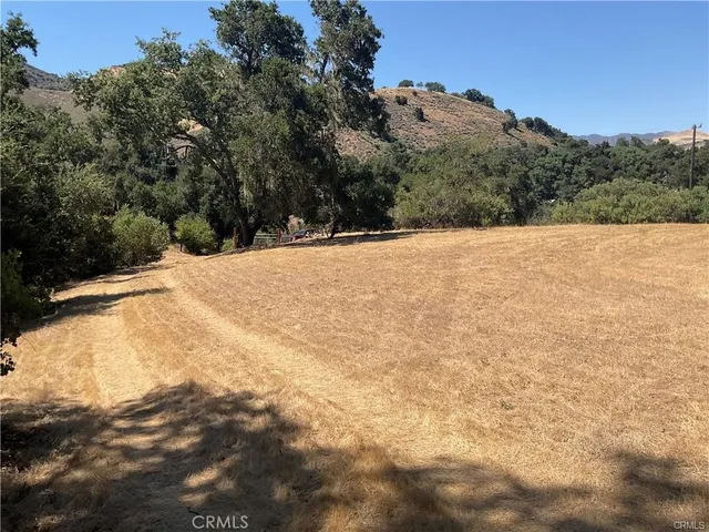 a view of a dry yard