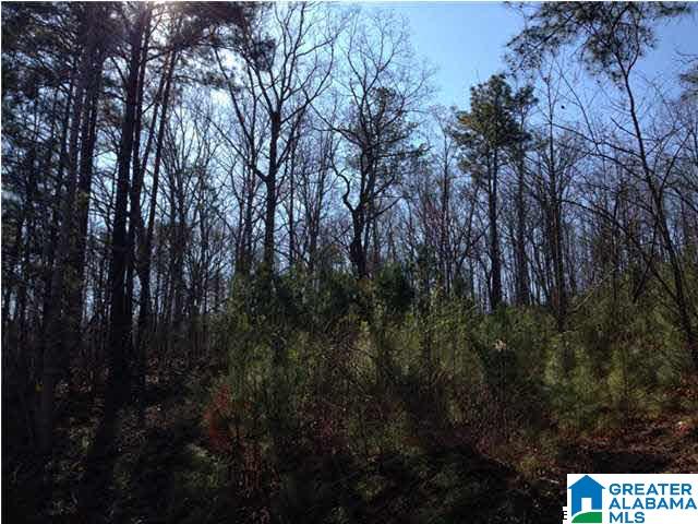 0 Woolfolk Road, Unit 3 ACRES Munford, AL 36268 - Photo 11 of 24