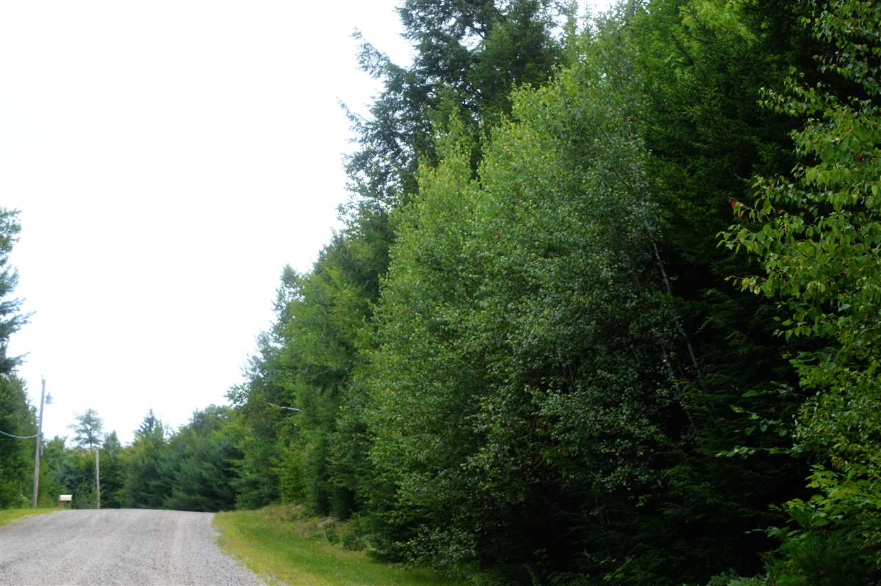 Wilson Heights Road Bethlehem, NH 03574 - Photo 2 of 20
