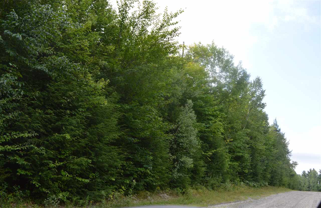 Wilson Heights Road Bethlehem, NH 03574 - Photo 11 of 20