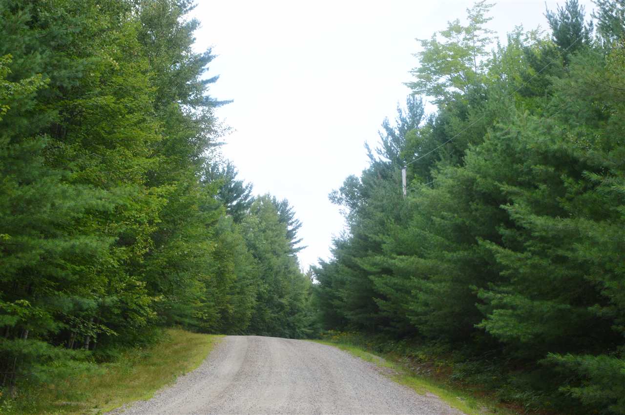 Wilson Heights Road Bethlehem, NH 03574 - Photo 12 of 20