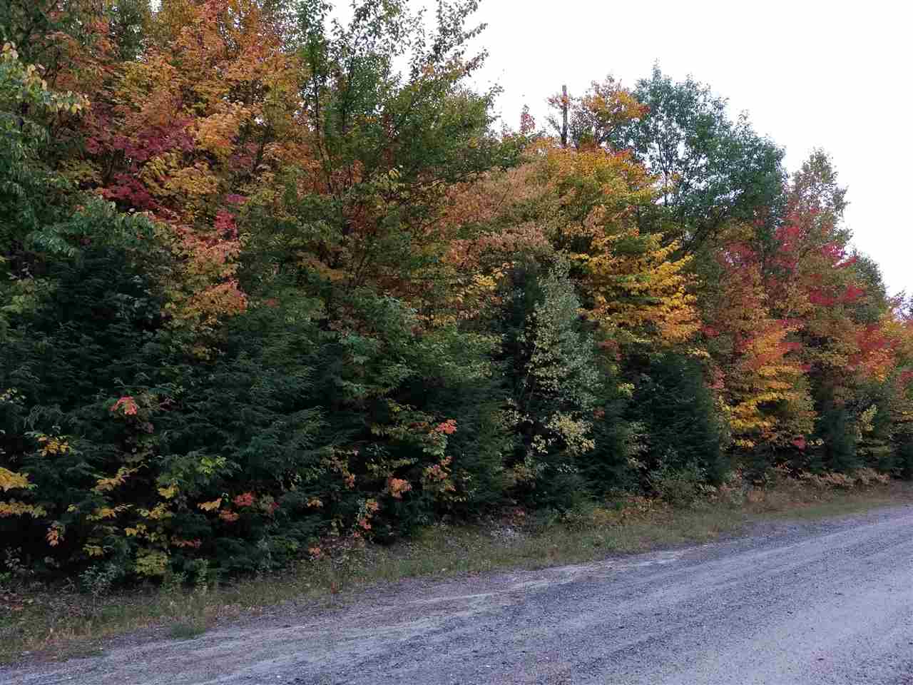Wilson Heights Road Bethlehem, NH 03574 - Photo 14 of 20