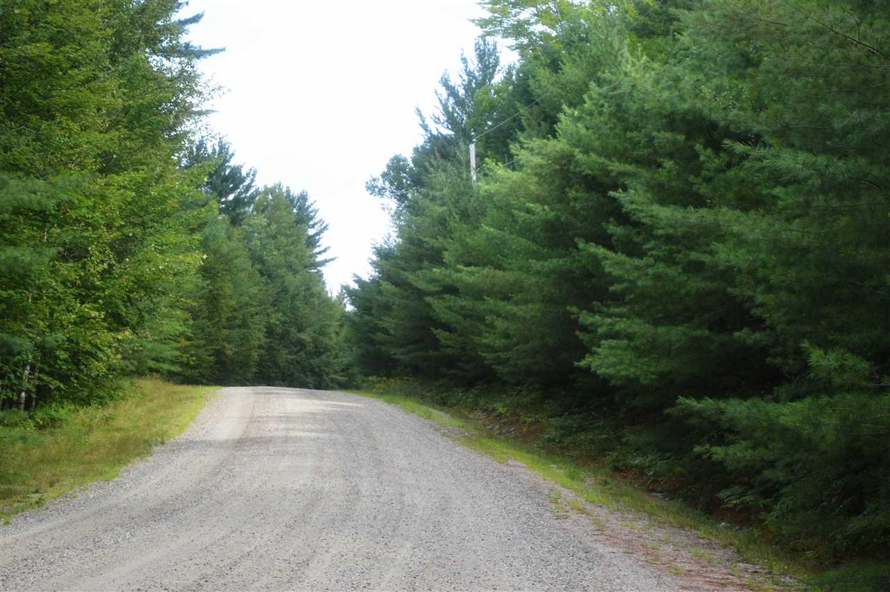 Wilson Heights Road Bethlehem, NH 03574 - Photo 3 of 20