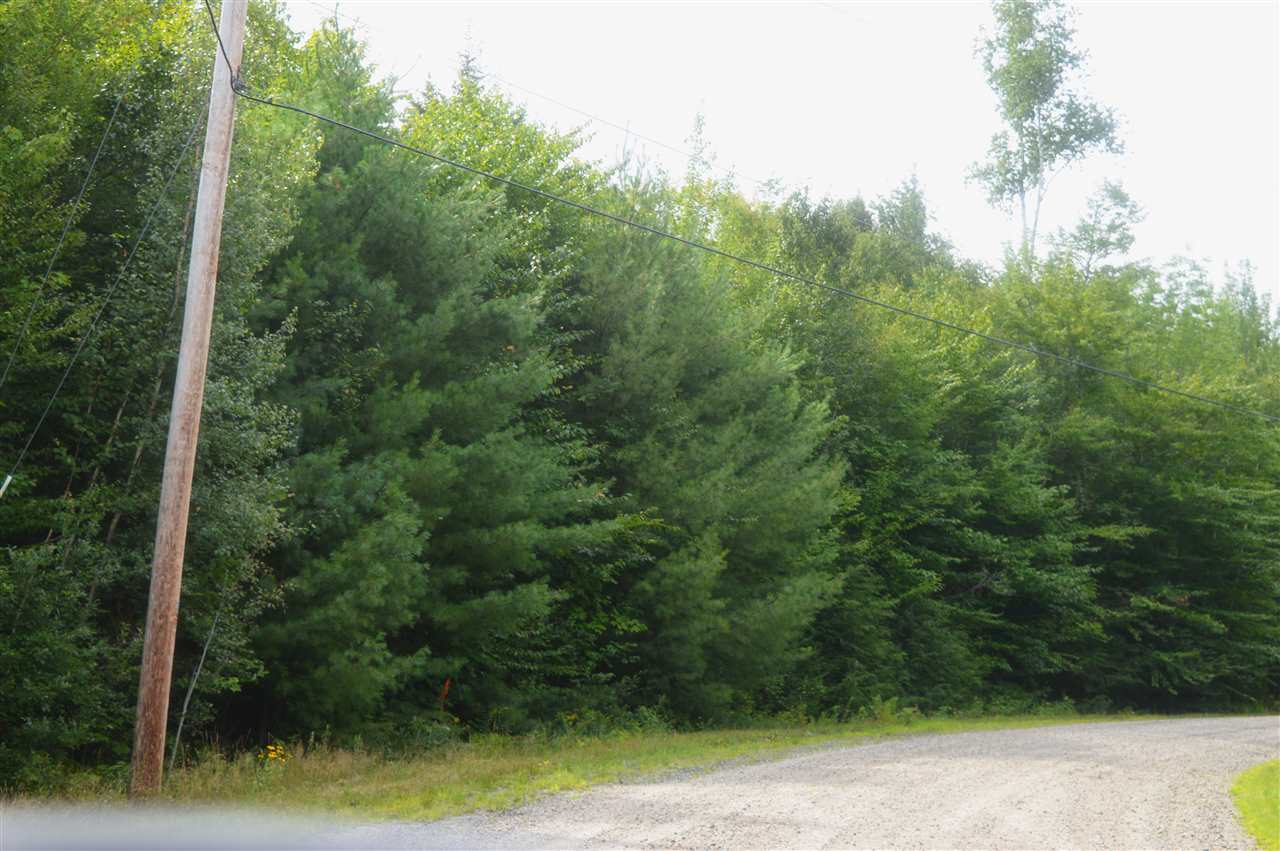 Wilson Heights Road Bethlehem, NH 03574 - Photo 4 of 20