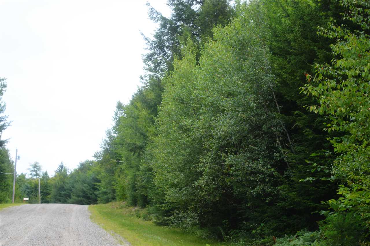 Wilson Heights Road Bethlehem, NH 03574 - Photo 5 of 20