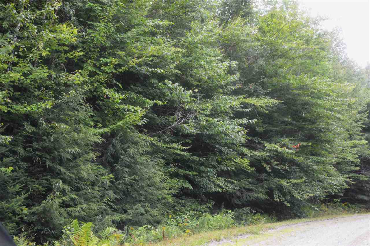 Wilson Heights Road Bethlehem, NH 03574 - Photo 7 of 20
