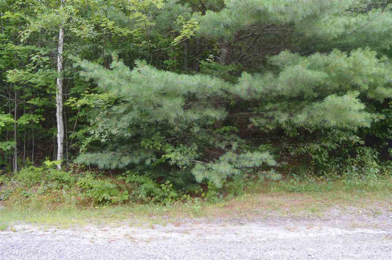 Wilson Heights Road Bethlehem, NH 03574 - Photo 8 of 20