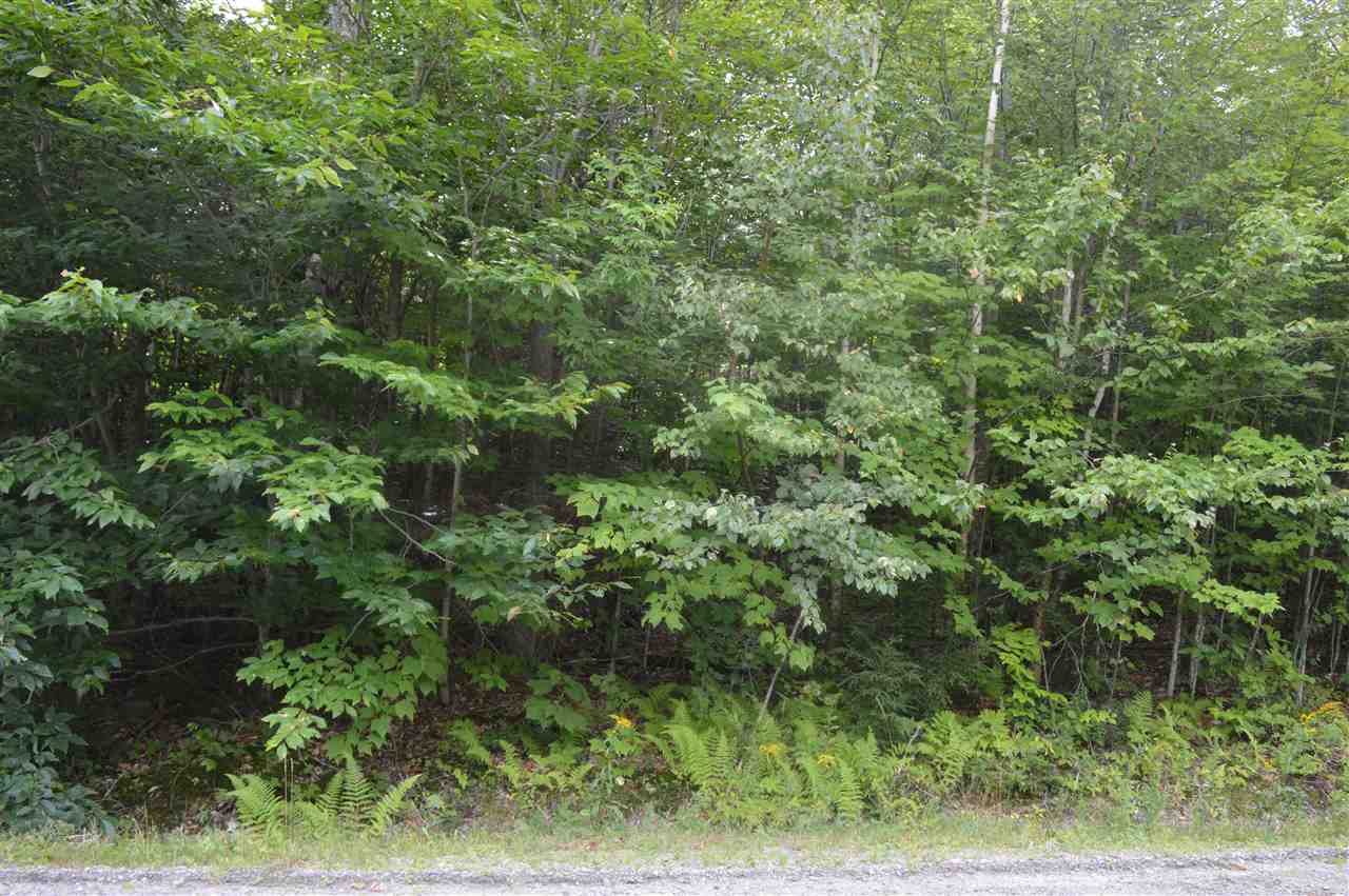 Wilson Heights Road Bethlehem, NH 03574 - Photo 9 of 20