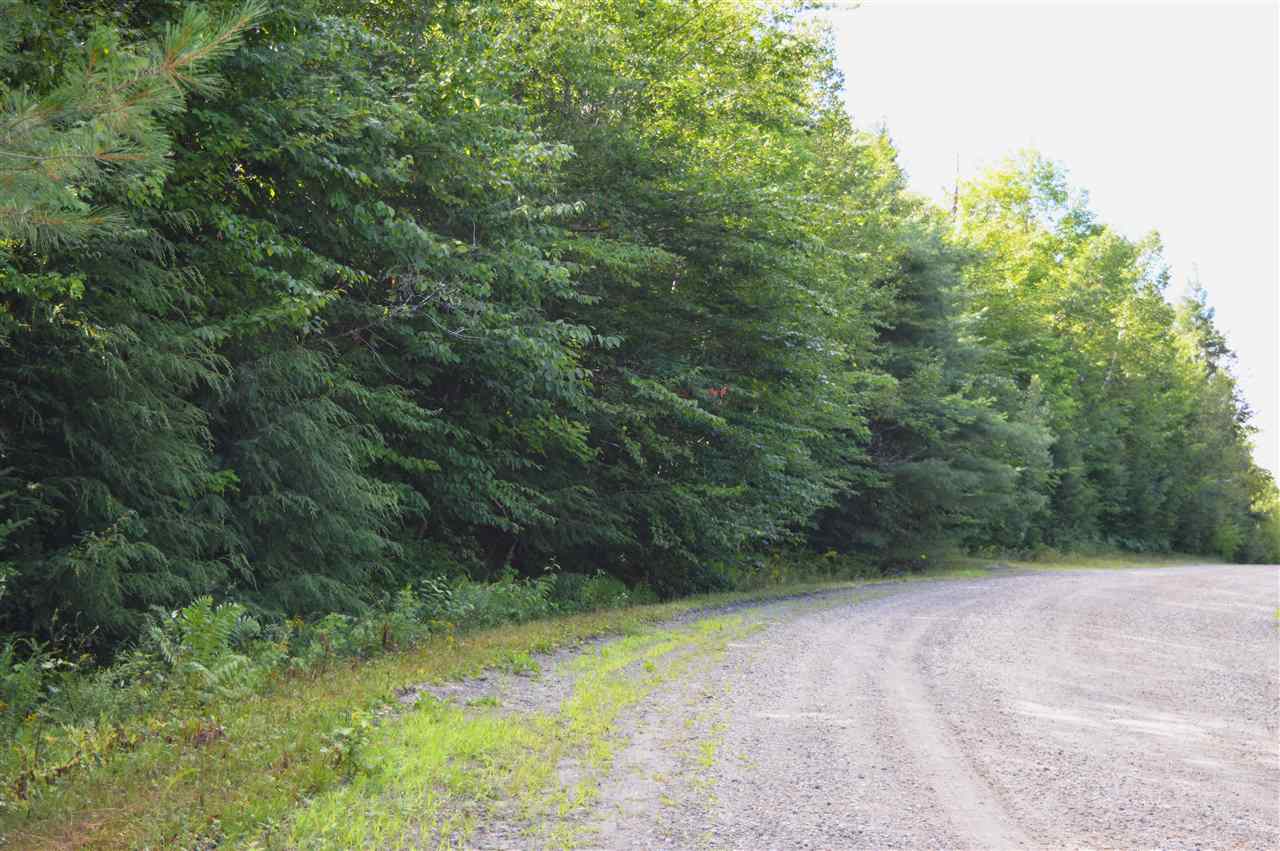 Wilson Heights Road Bethlehem, NH 03574 - Photo 10 of 20