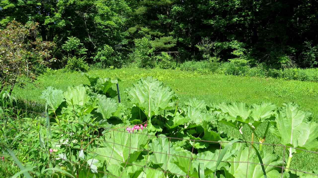 650 Clarendon Road Wallingford, VT 05773 - Photo 30 of 35 Gallery Image 30