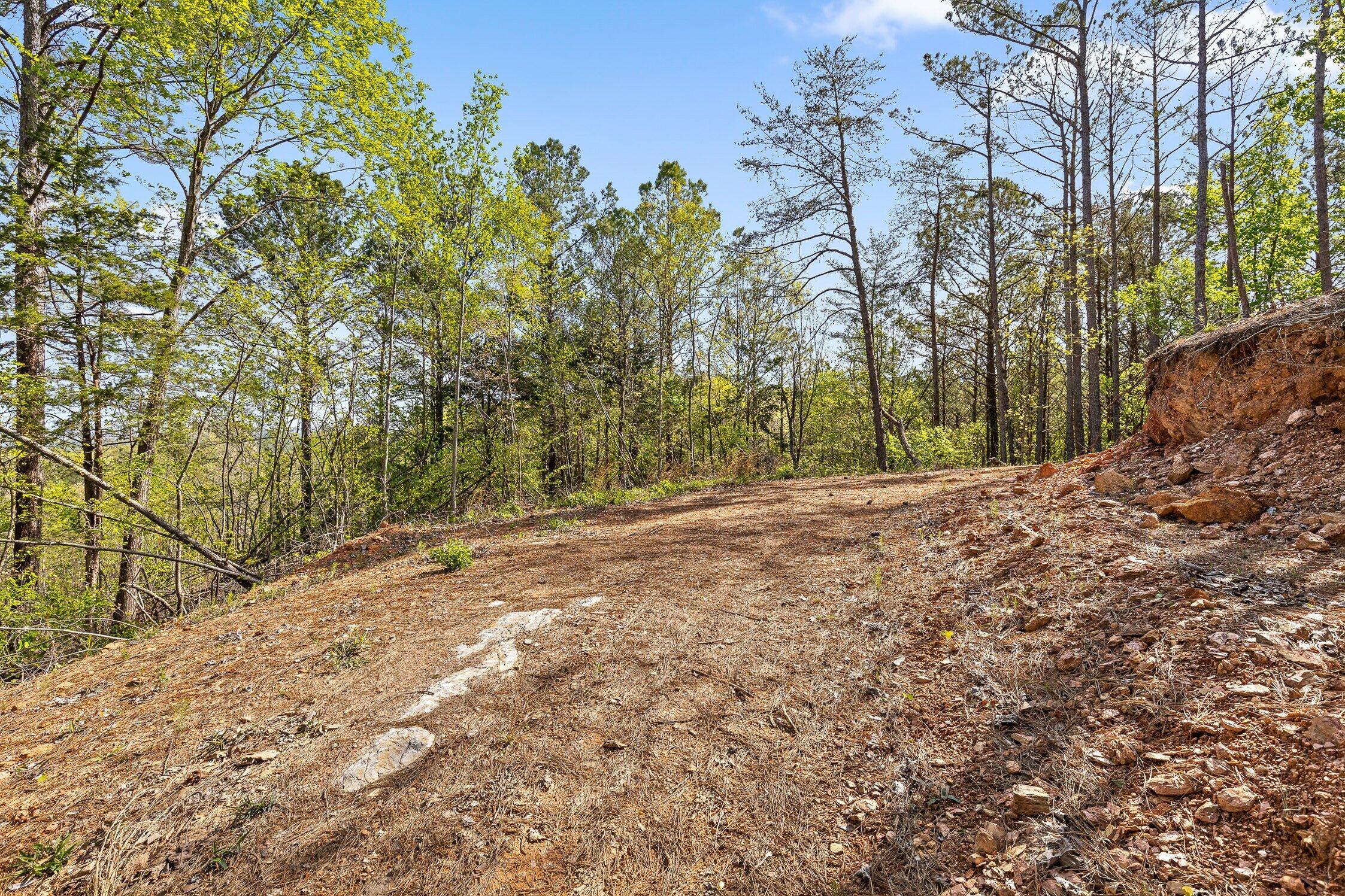 1 South S Highway Ranger, GA 30734 - Photo 11 of 34 US-411-10