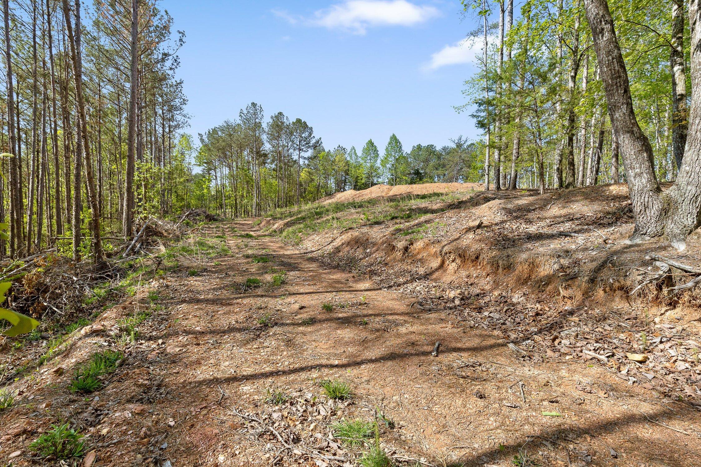 1 South S Highway Ranger, GA 30734 - Photo 12 of 34 US-411-12