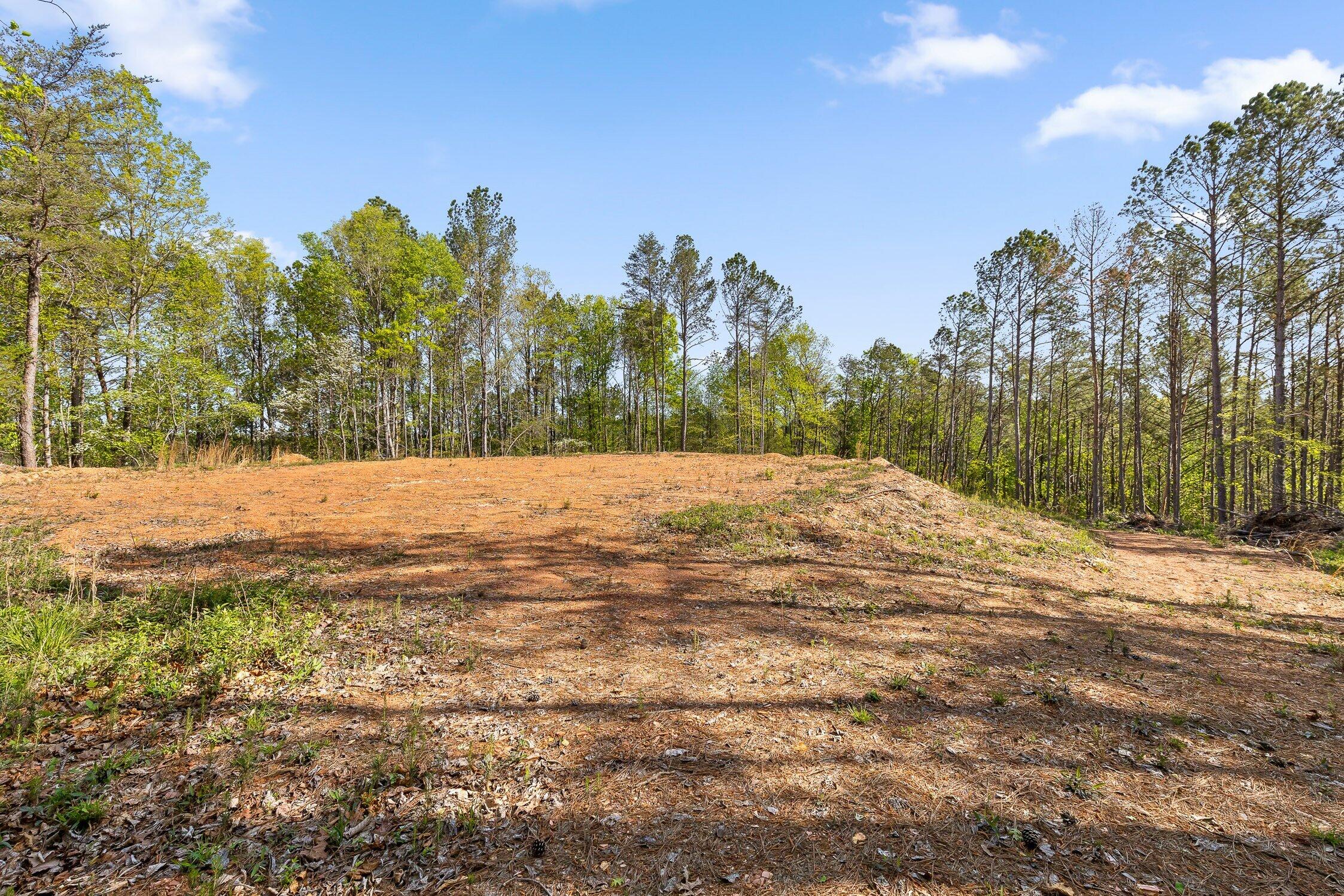 1 South S Highway Ranger, GA 30734 - Photo 13 of 34 US-411-13