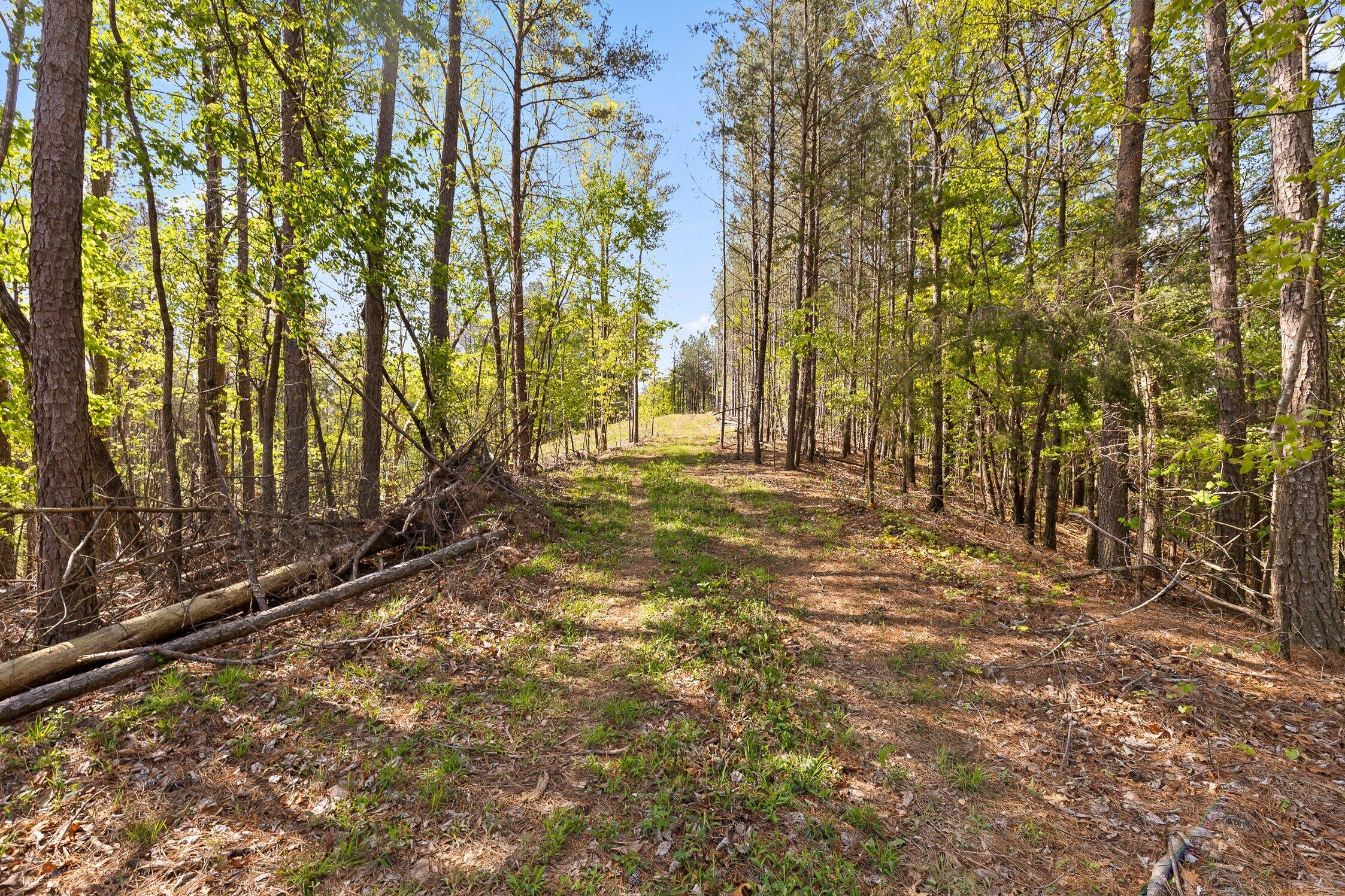 1 South S Highway Ranger, GA 30734 - Photo 14 of 34 US-411-14