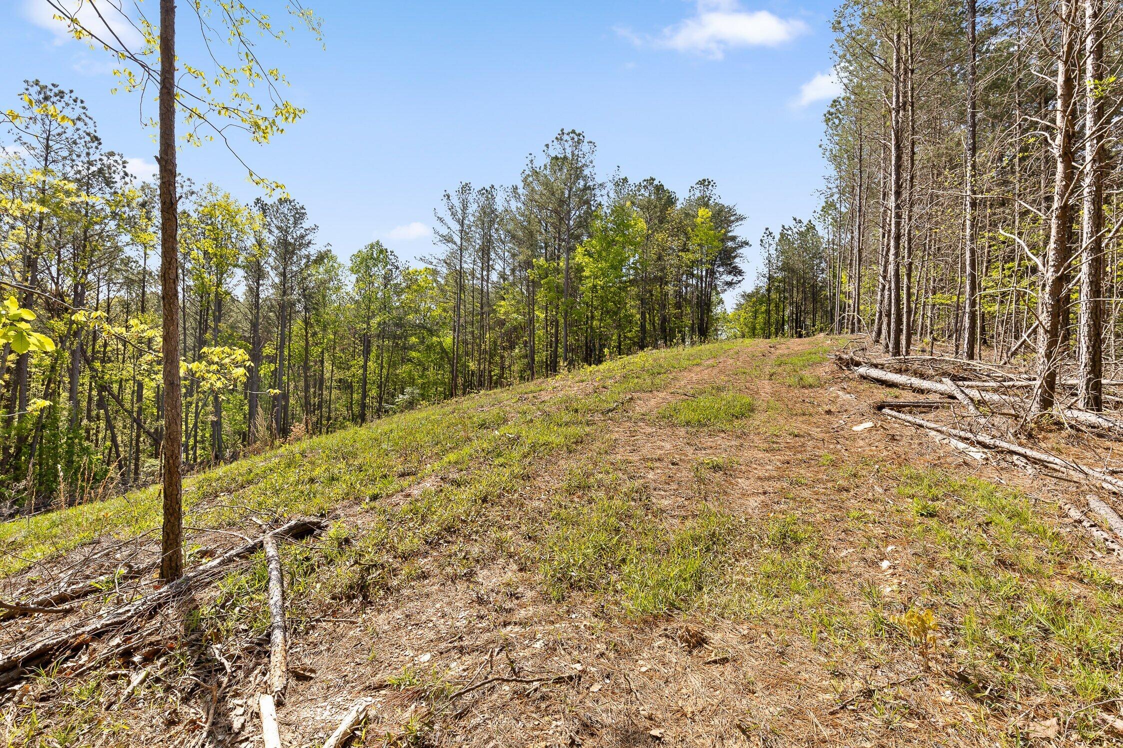 1 South S Highway Ranger, GA 30734 - Photo 15 of 34 US-411-15