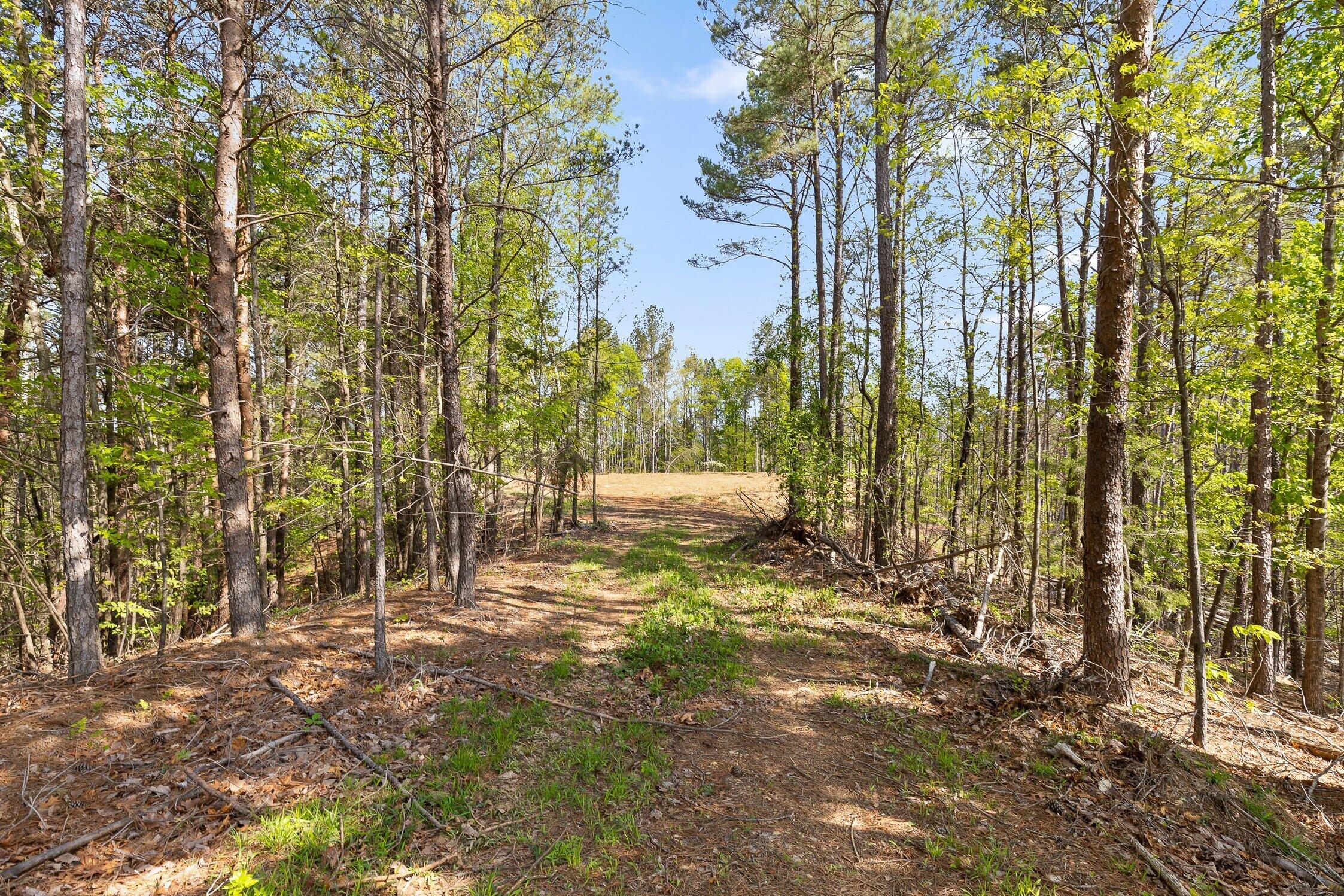 1 South S Highway Ranger, GA 30734 - Photo 16 of 34 US-411-16