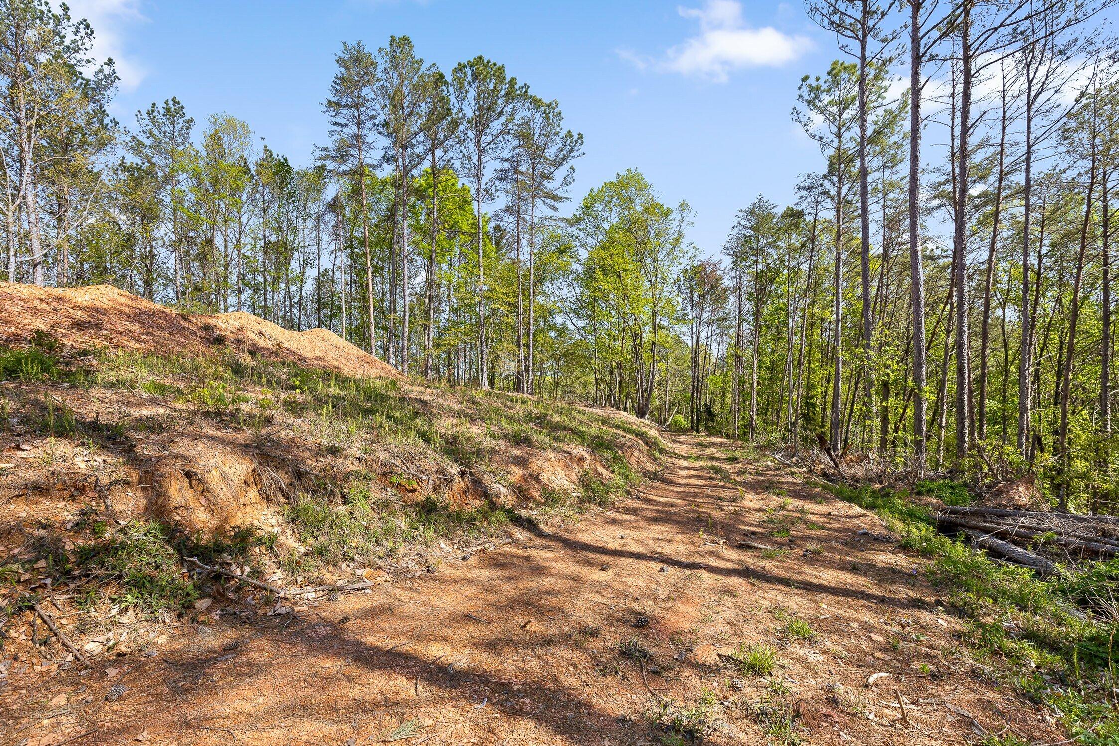 1 South S Highway Ranger, GA 30734 - Photo 17 of 34 US-411-17