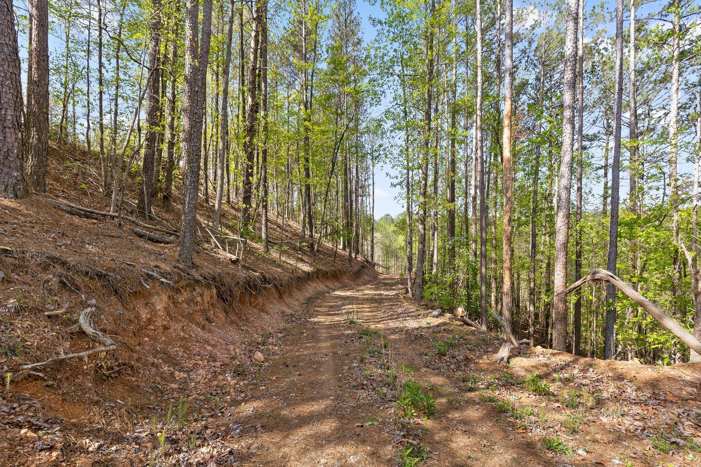 1 South S Highway Ranger, GA 30734 - Photo 18 of 34 US-411-18