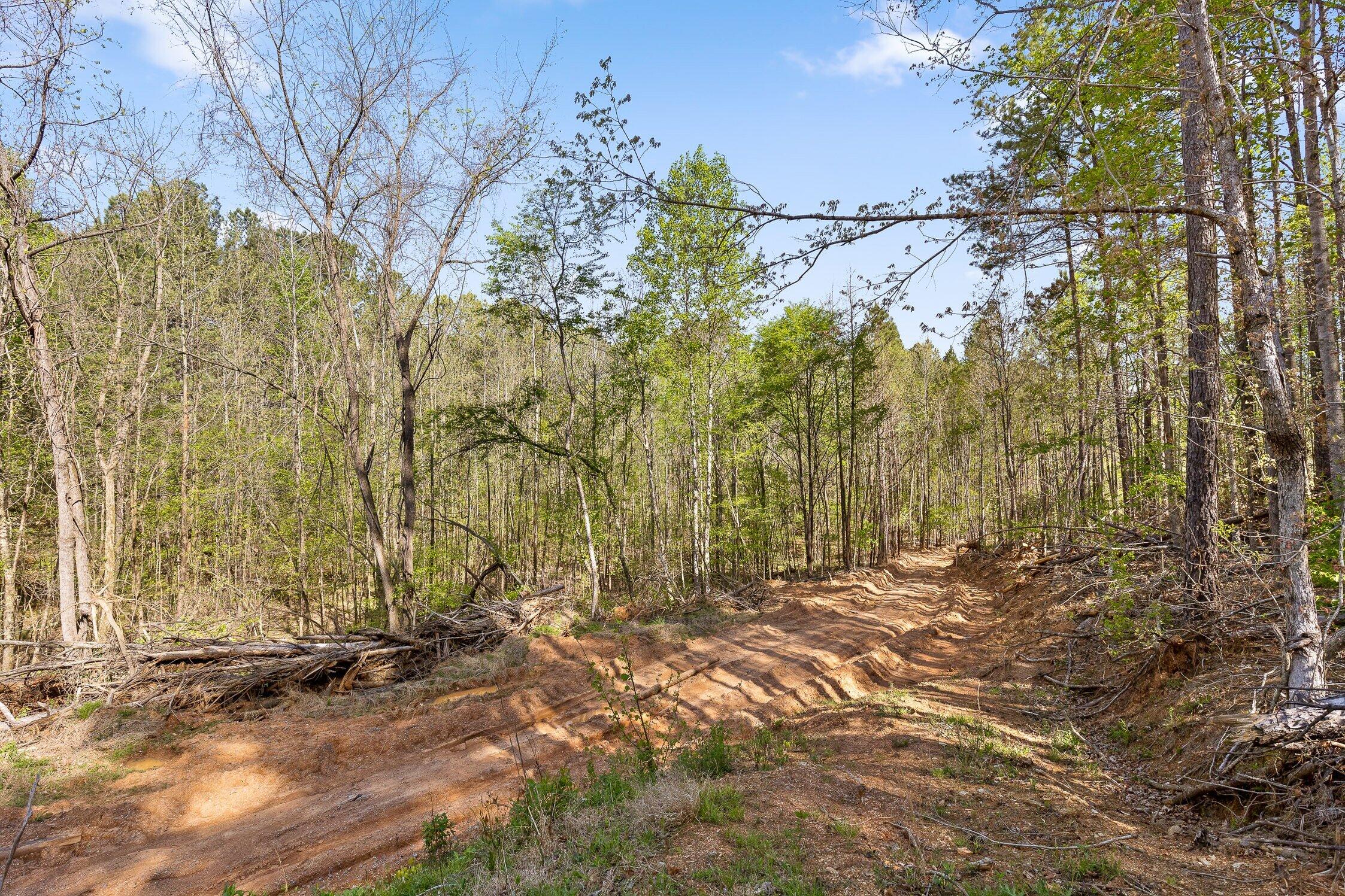 1 South S Highway Ranger, GA 30734 - Photo 20 of 34 US-411-20