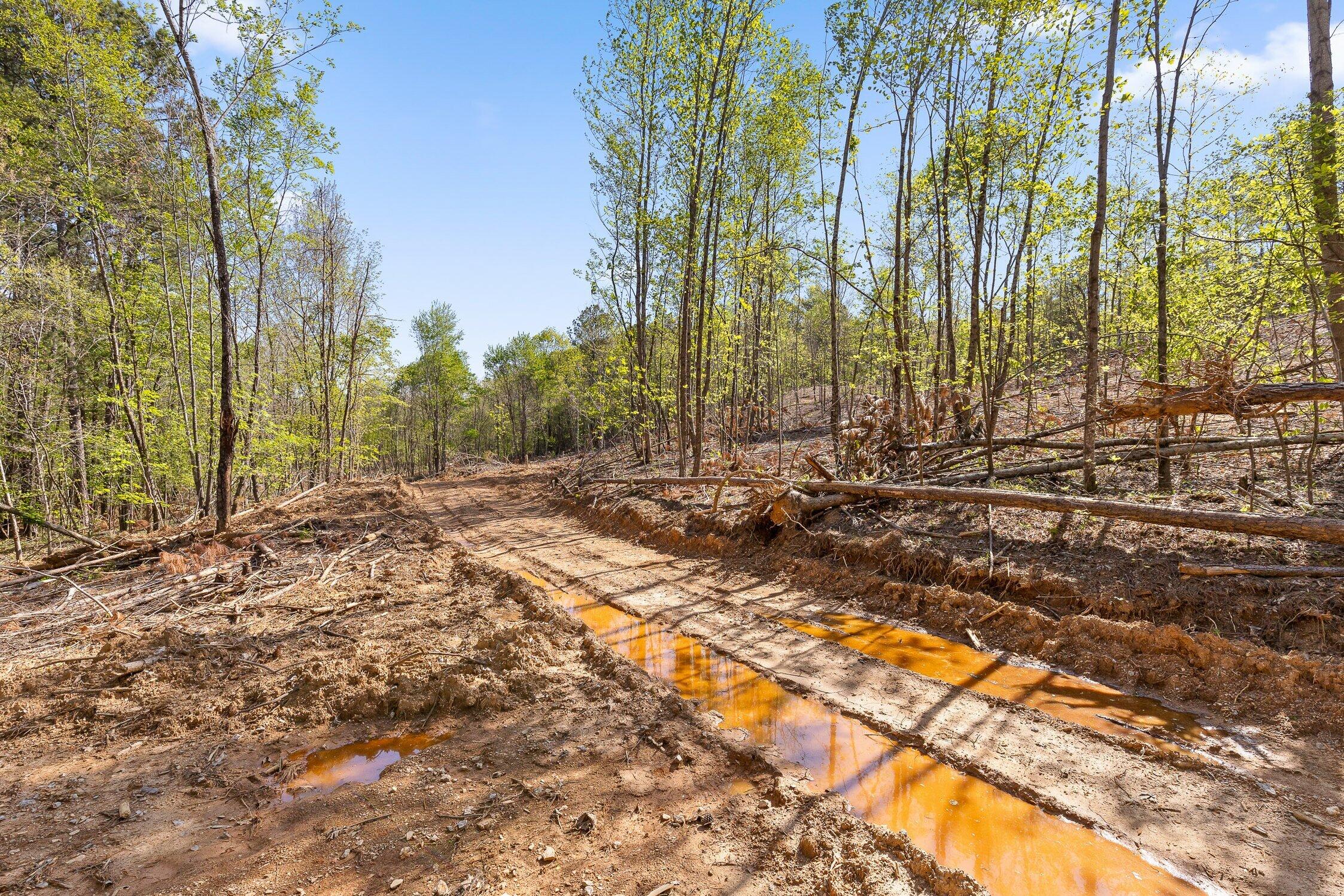 1 South S Highway Ranger, GA 30734 - Photo 22 of 34 US-411-22