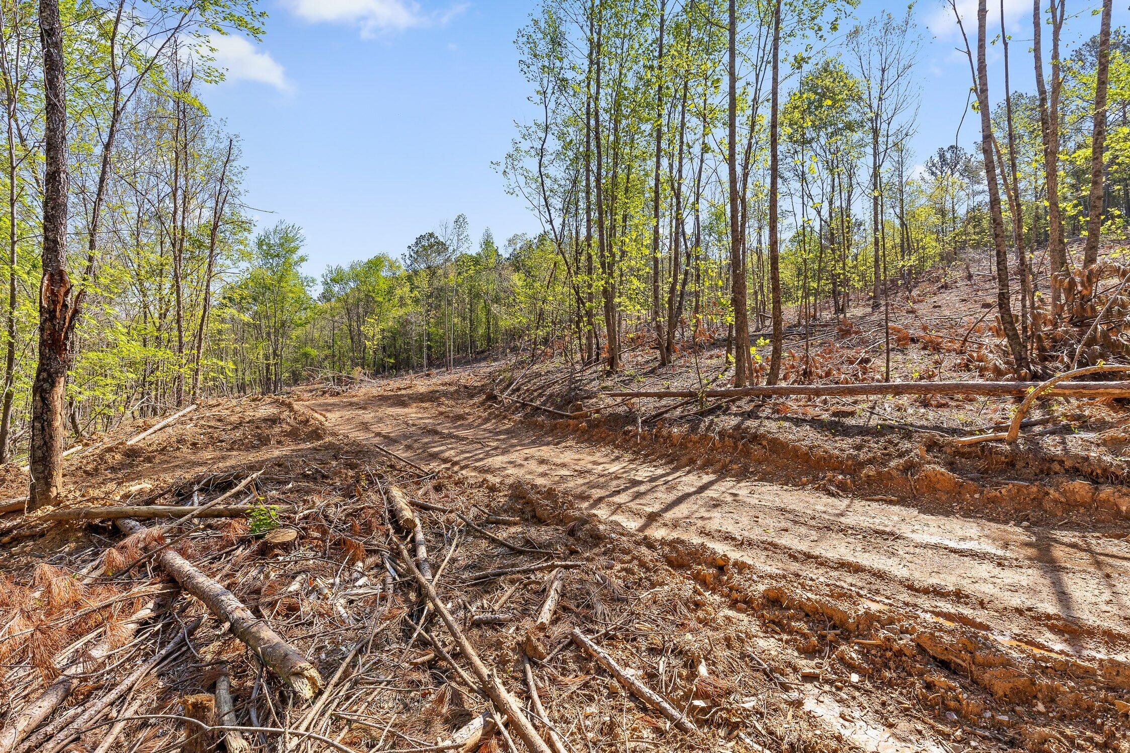 1 South S Highway Ranger, GA 30734 - Photo 23 of 34 US-411-23