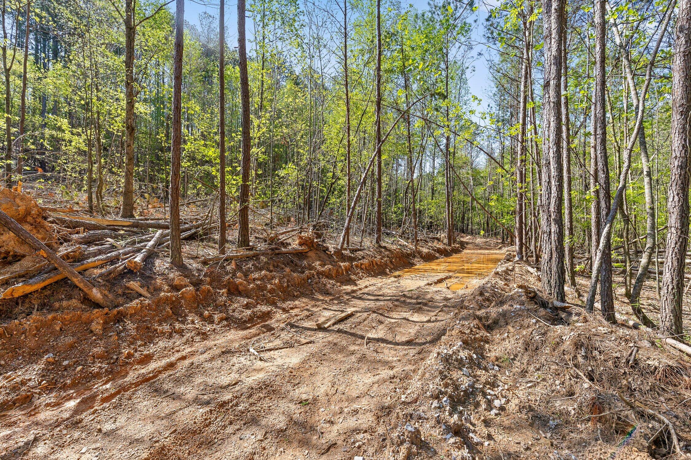 1 South S Highway Ranger, GA 30734 - Photo 24 of 34 US-411-24