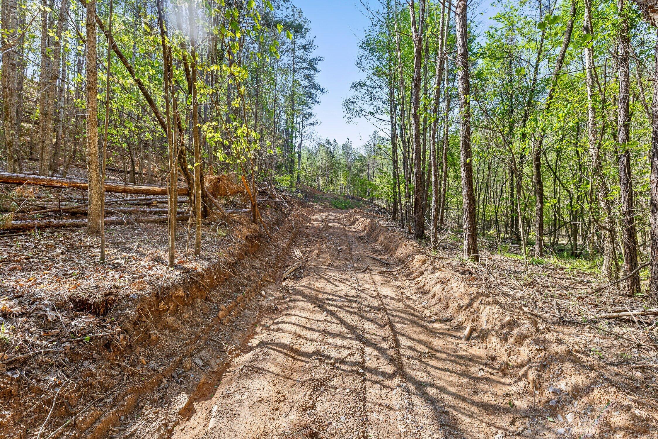 1 South S Highway Ranger, GA 30734 - Photo 25 of 34 US-411-25