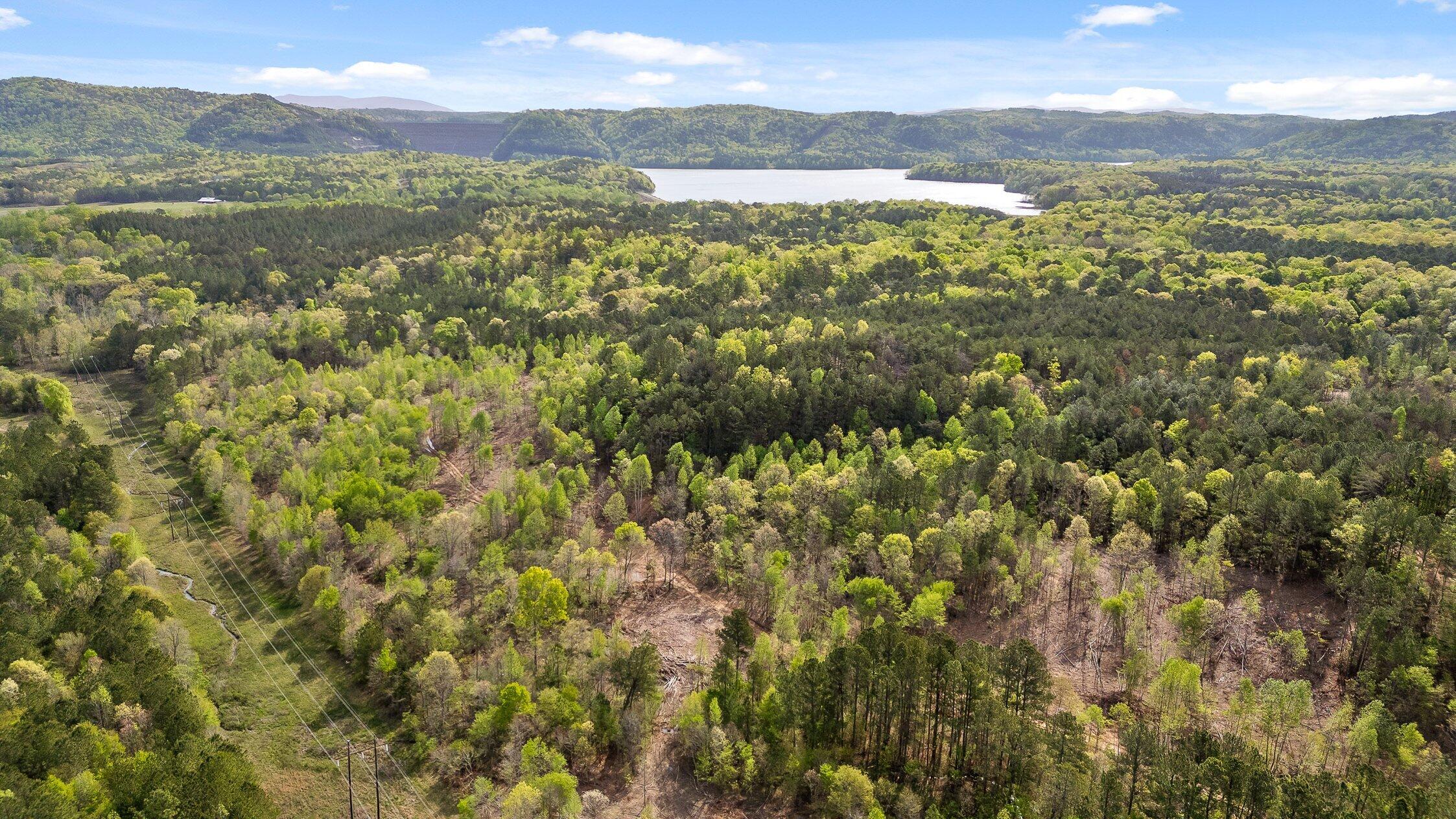 1 South S Highway Ranger, GA 30734 - Photo 30 of 34 US-411-30