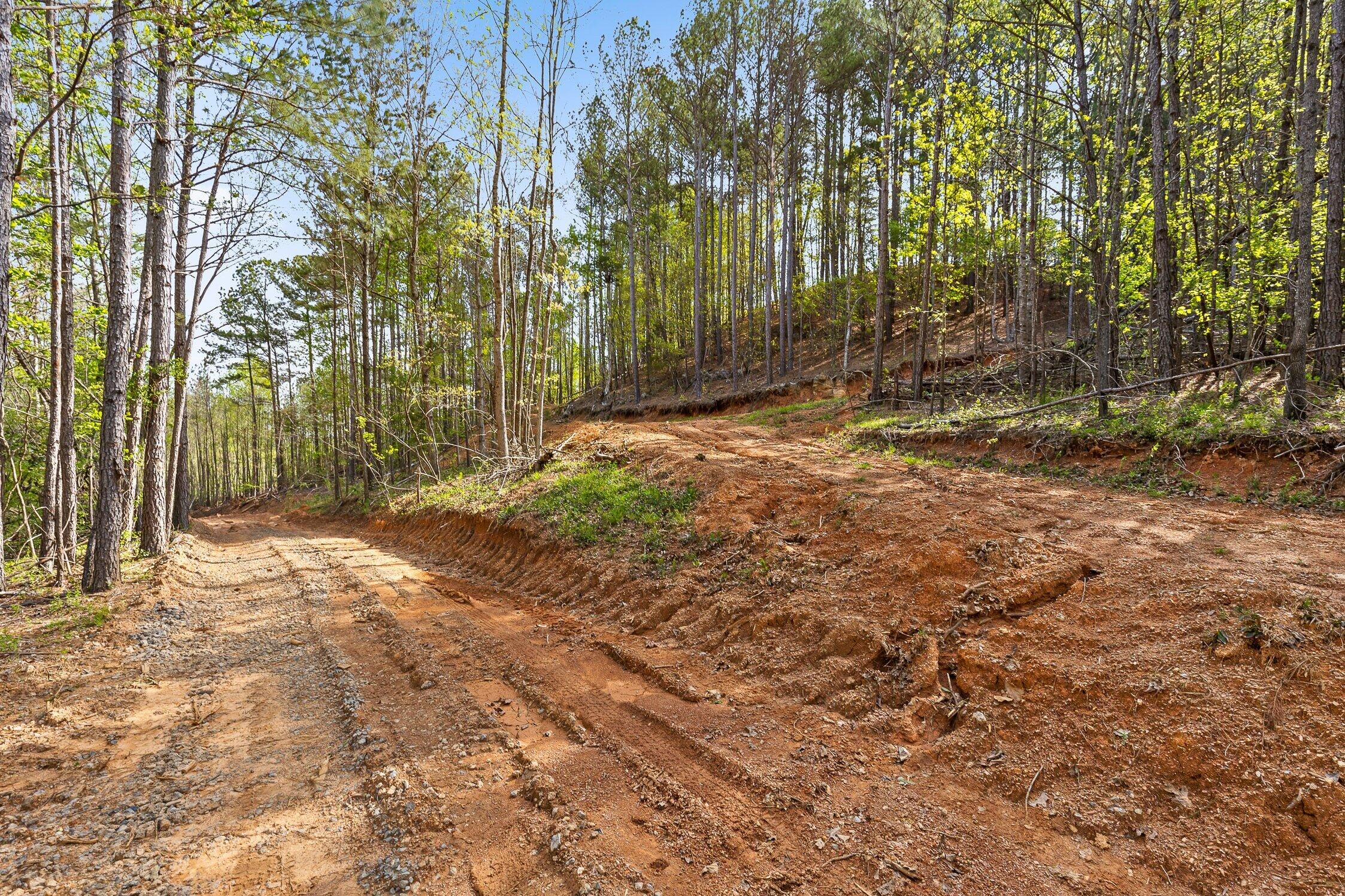 1 South S Highway Ranger, GA 30734 - Photo 3 of 34 US-411-2