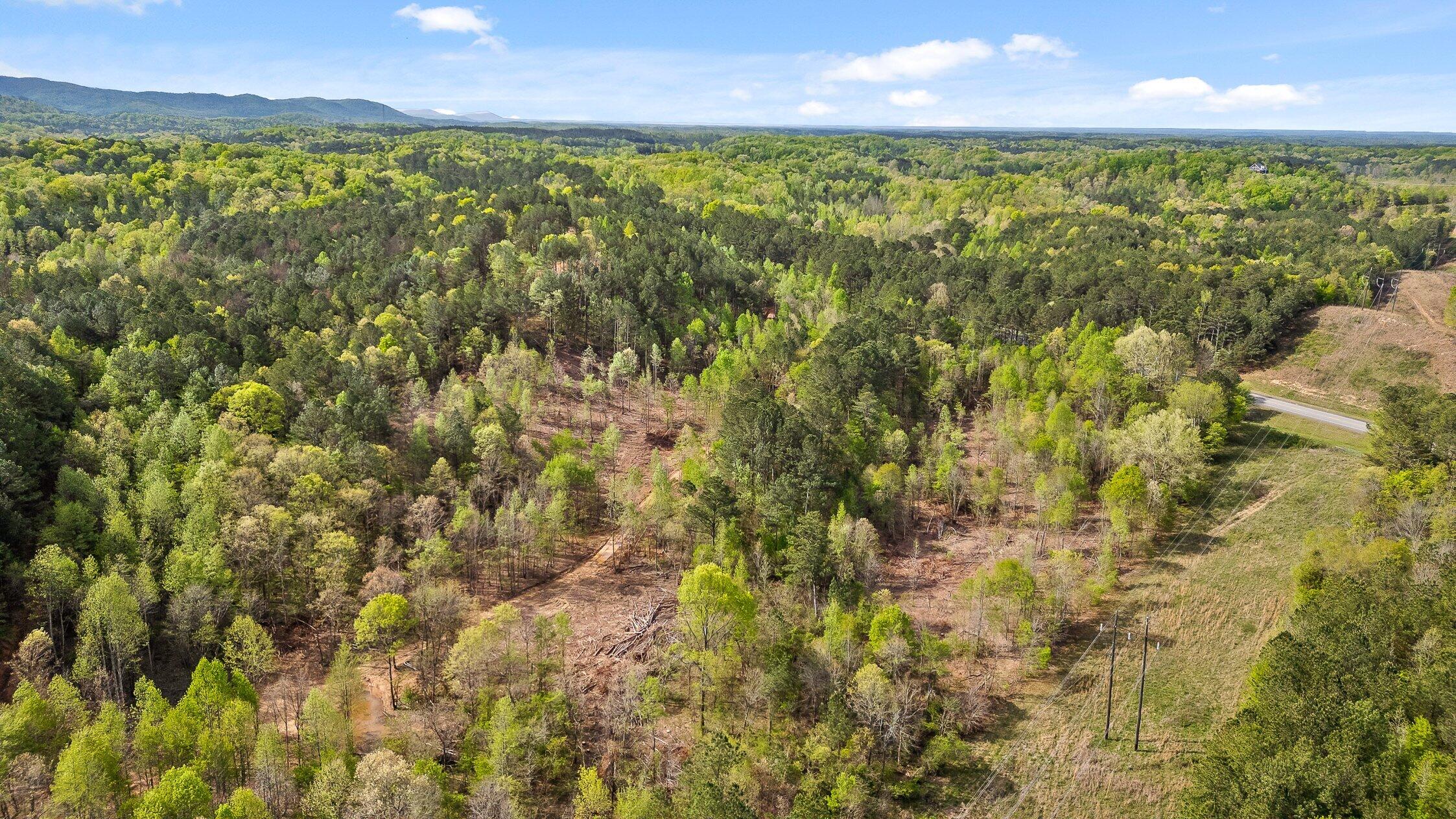 1 South S Highway Ranger, GA 30734 - Photo 31 of 34 US-411-31