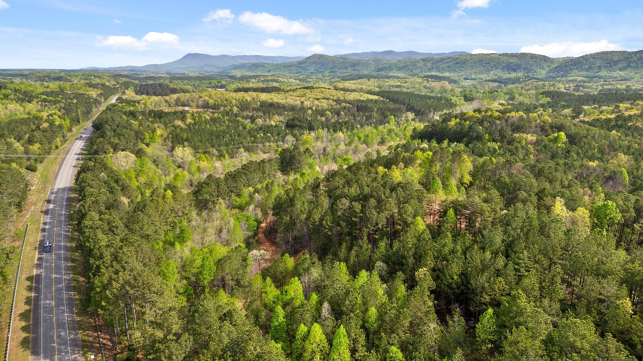 1 South S Highway Ranger, GA 30734 - Photo 32 of 34 US-411-32