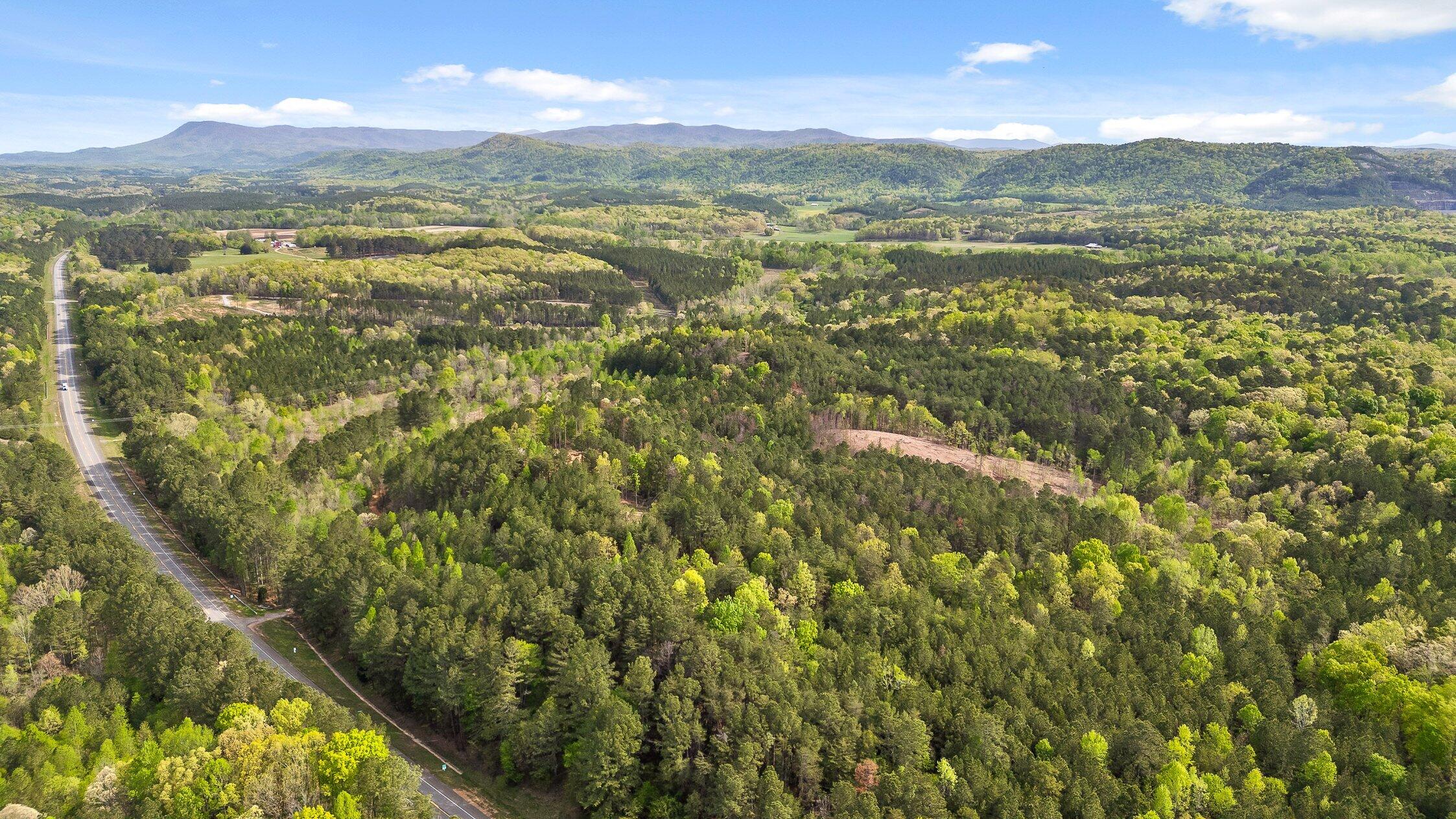 1 South S Highway Ranger, GA 30734 - Photo 34 of 34 US-411-34