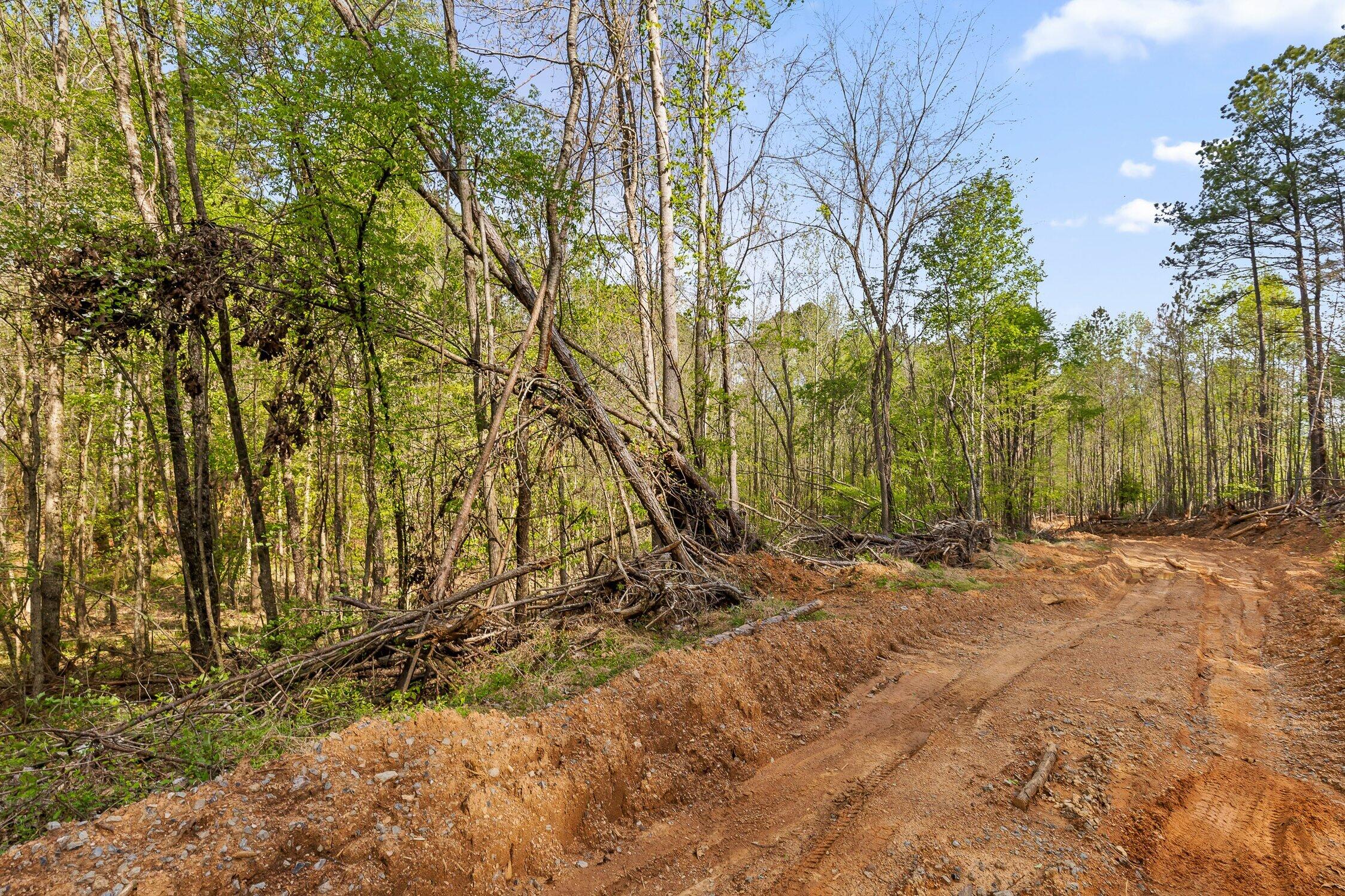 1 South S Highway Ranger, GA 30734 - Photo 4 of 34 US-411-3