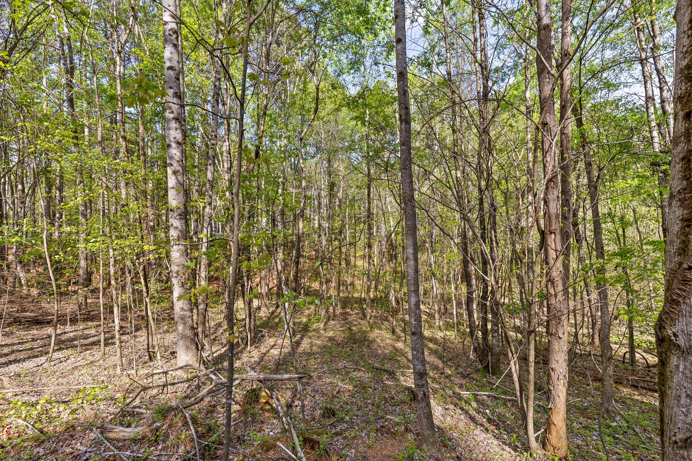 1 South S Highway Ranger, GA 30734 - Photo 5 of 34 US-411-4