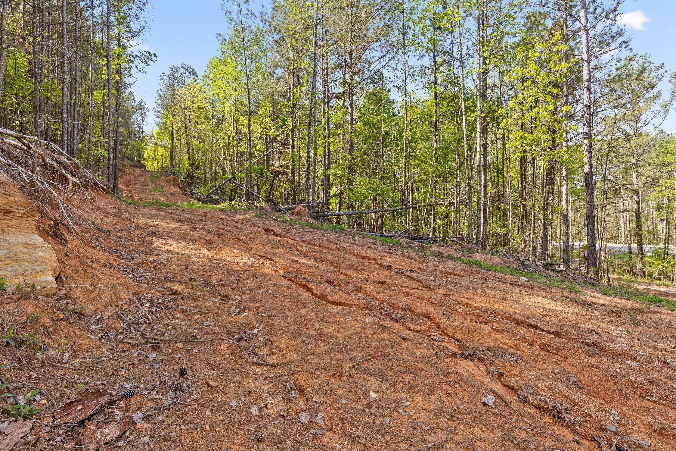 1 South S Highway Ranger, GA 30734 - Photo 7 of 34 US-411-6