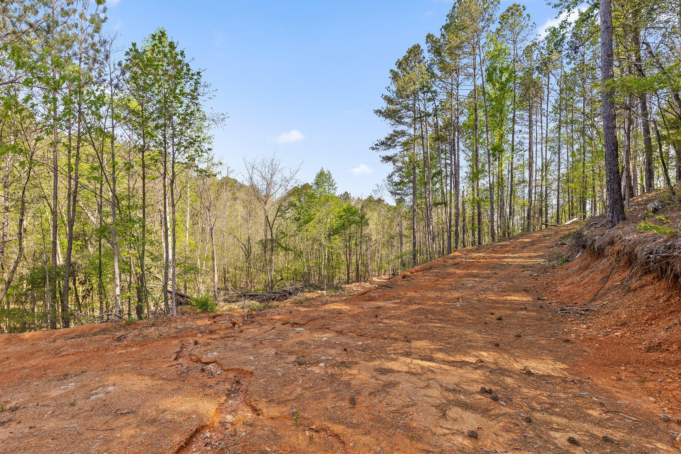 1 South S Highway Ranger, GA 30734 - Photo 8 of 34 US-411-7