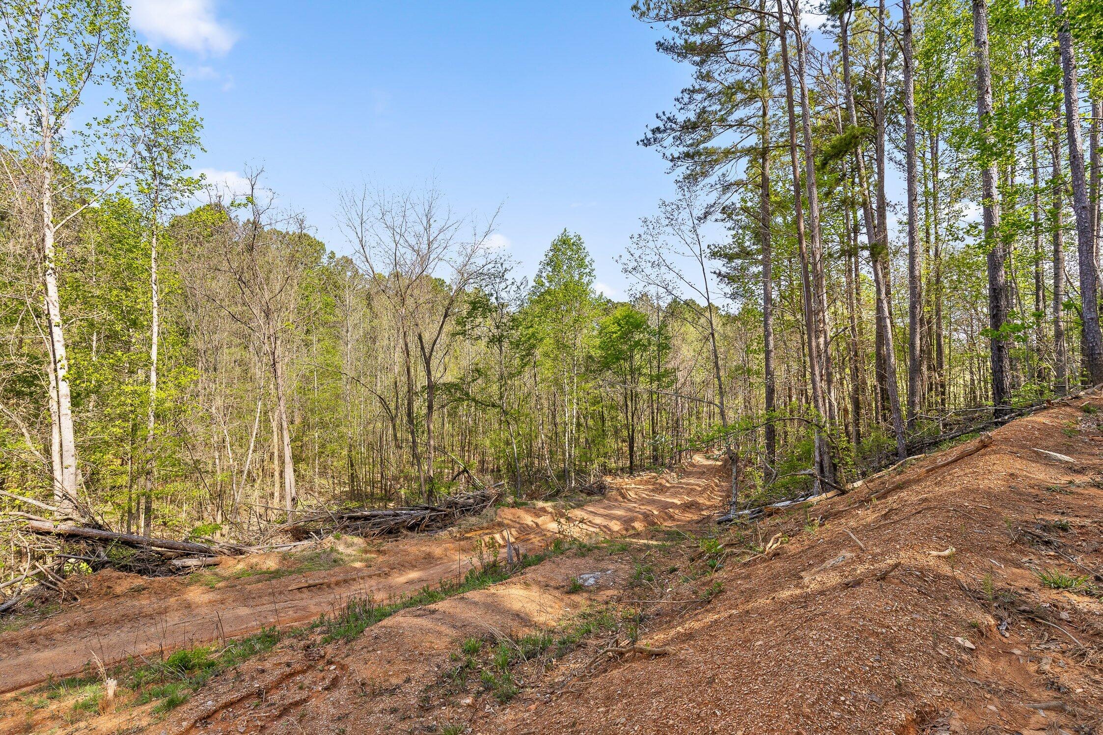 1 South S Highway Ranger, GA 30734 - Photo 9 of 34 US-411-8