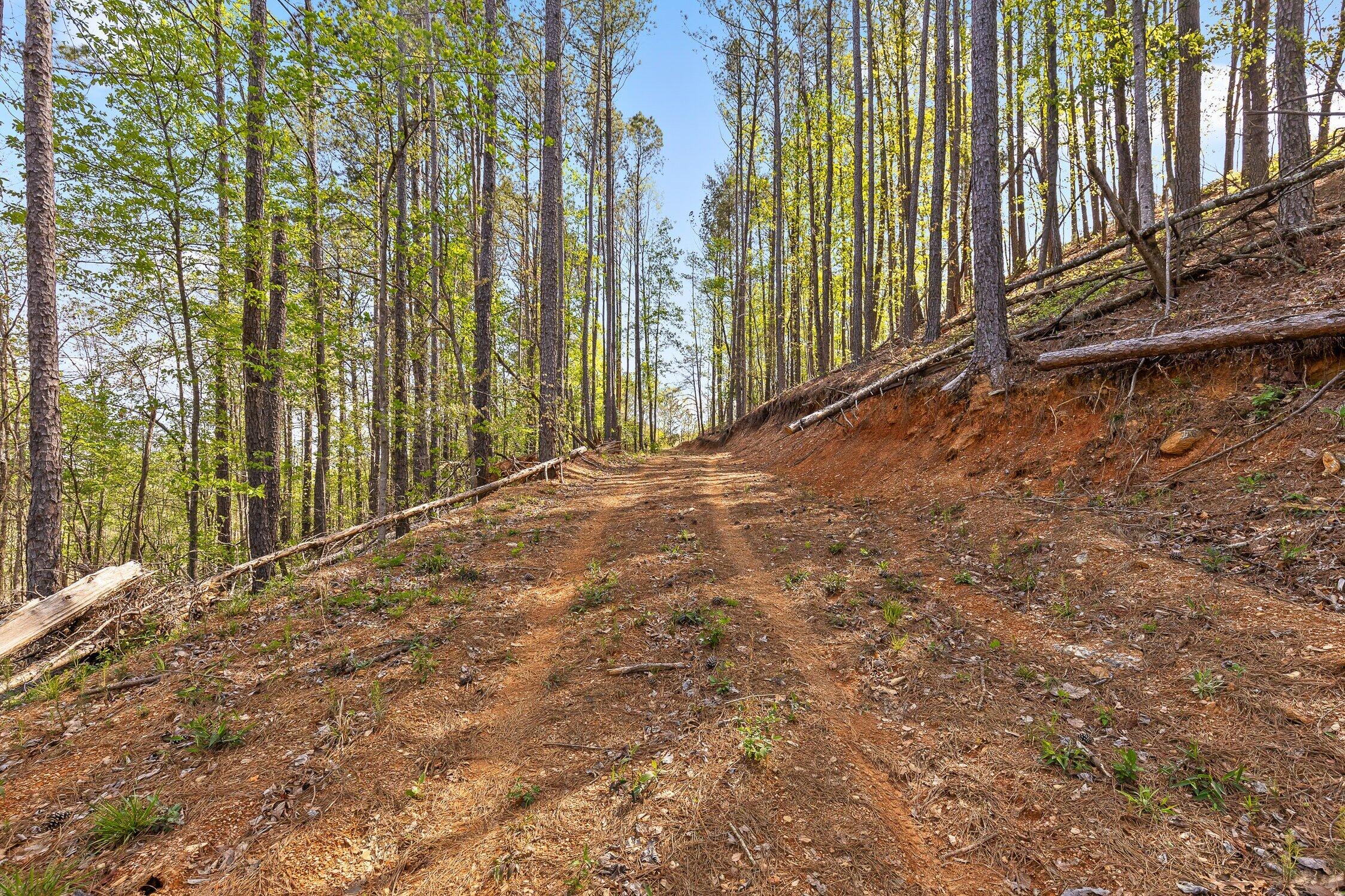 1 South S Highway Ranger, GA 30734 - Photo 10 of 34 US-411-9