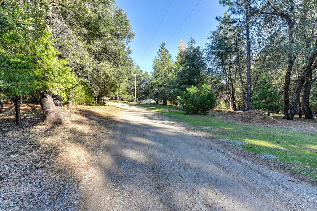 24200 Golden Ridge Drive Volcano, CA 95689 - Photo 2 of 58 a view of a yard with large trees