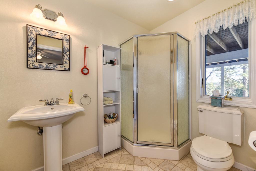 24200 Golden Ridge Drive Volcano, CA 95689 - Photo 47 of 59 a bathroom with a sink toilet and shower