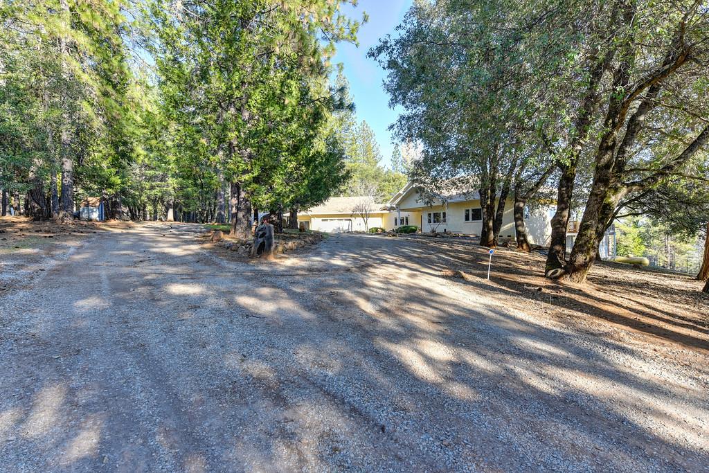 24200 Golden Ridge Drive Volcano, CA 95689 - Photo 58 of 58 a view of a street with trees on both side of it