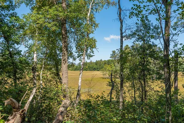 $139,900 | Tract D Tbd Tract D Tbd Little Pine Road, Brainerd, MN 56401