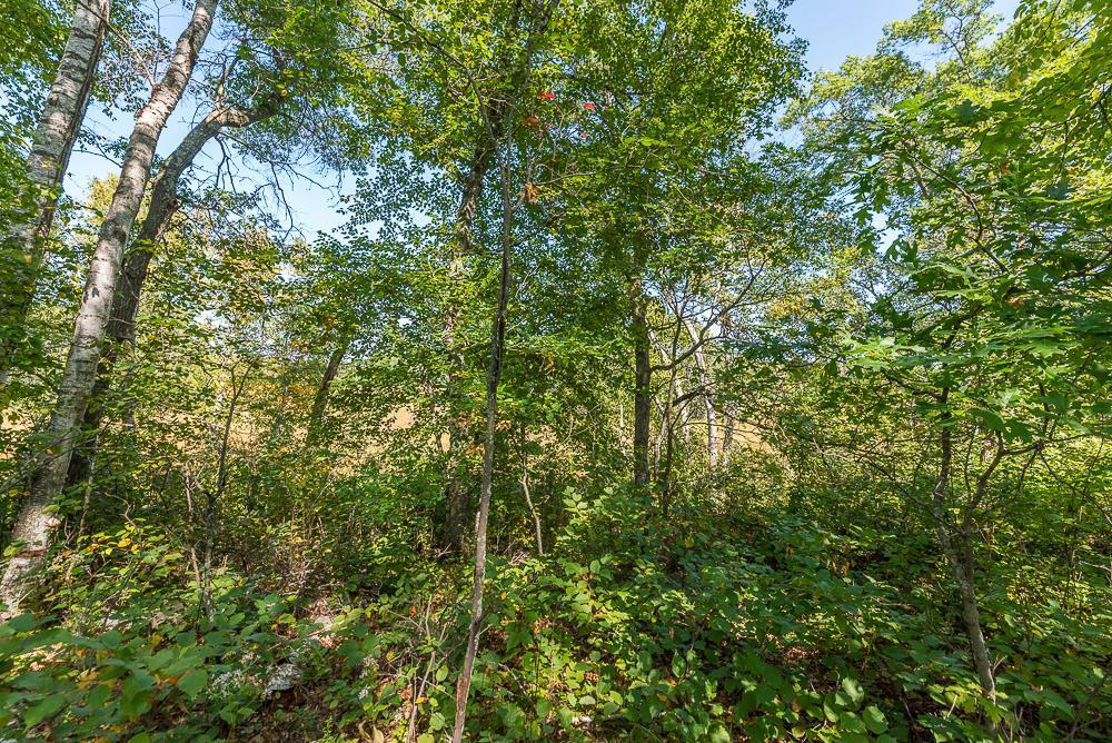 Tract D Tbd Tract D Tbd Little Pine Road Brainerd, MN 56401 - Photo 12 of 27