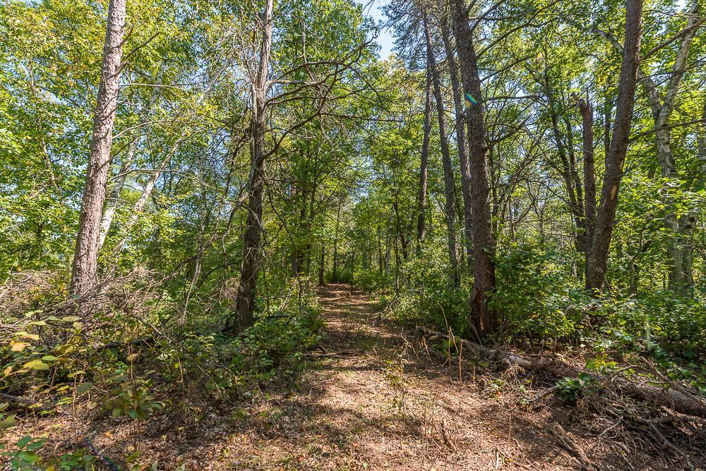 Tract D Tbd Tract D Tbd Little Pine Road Brainerd, MN 56401 - Photo 13 of 27