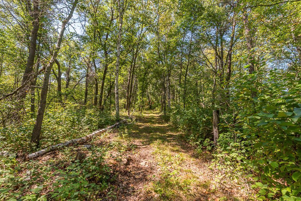Tract D Tbd Tract D Tbd Little Pine Road Brainerd, MN 56401 - Photo 14 of 27