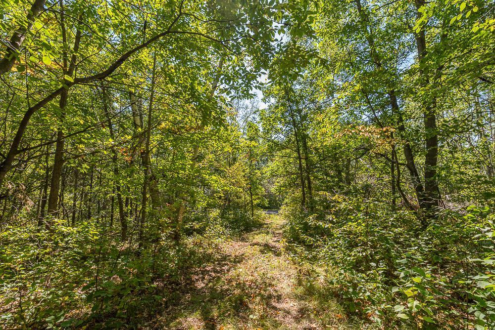 Tract D Tbd Tract D Tbd Little Pine Road Brainerd, MN 56401 - Photo 15 of 27