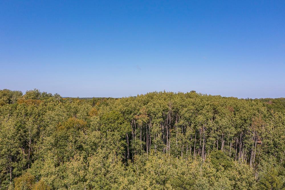 Tract D Tbd Tract D Tbd Little Pine Road Brainerd, MN 56401 - Photo 18 of 27